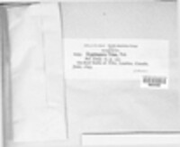 Image Associated With the Occurence